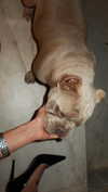 keli_ezra Altpins Profile Picture