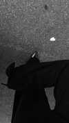 keli_ezra Altpins Profile Picture