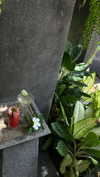 keli_ezra Altpins Profile Picture
