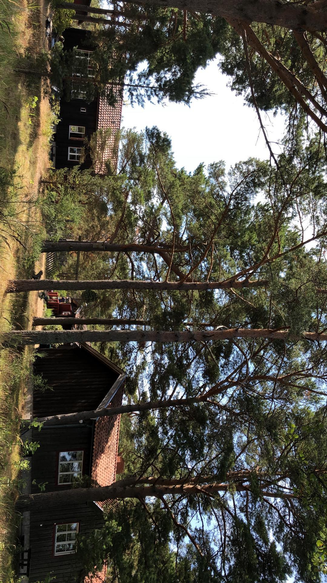 kesemgreenyer instagram image archive image