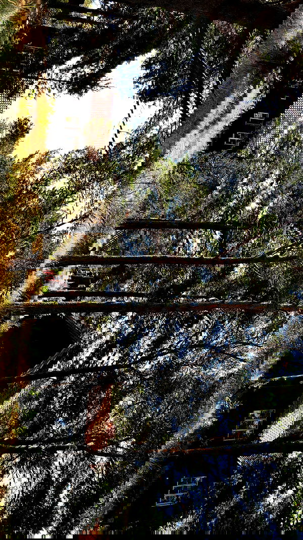 kesemgreenyer image ~ Altpins