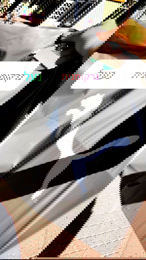 kesemgreenyer image ~ Altpins