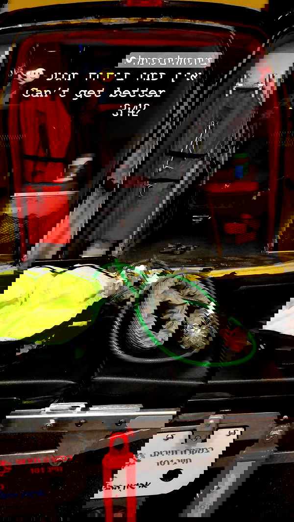 kesemgreenyer image ~ Altpins