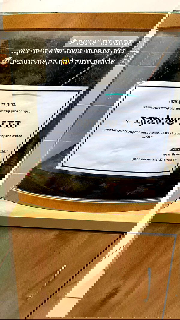 kesemgreenyer image ~ Altpins