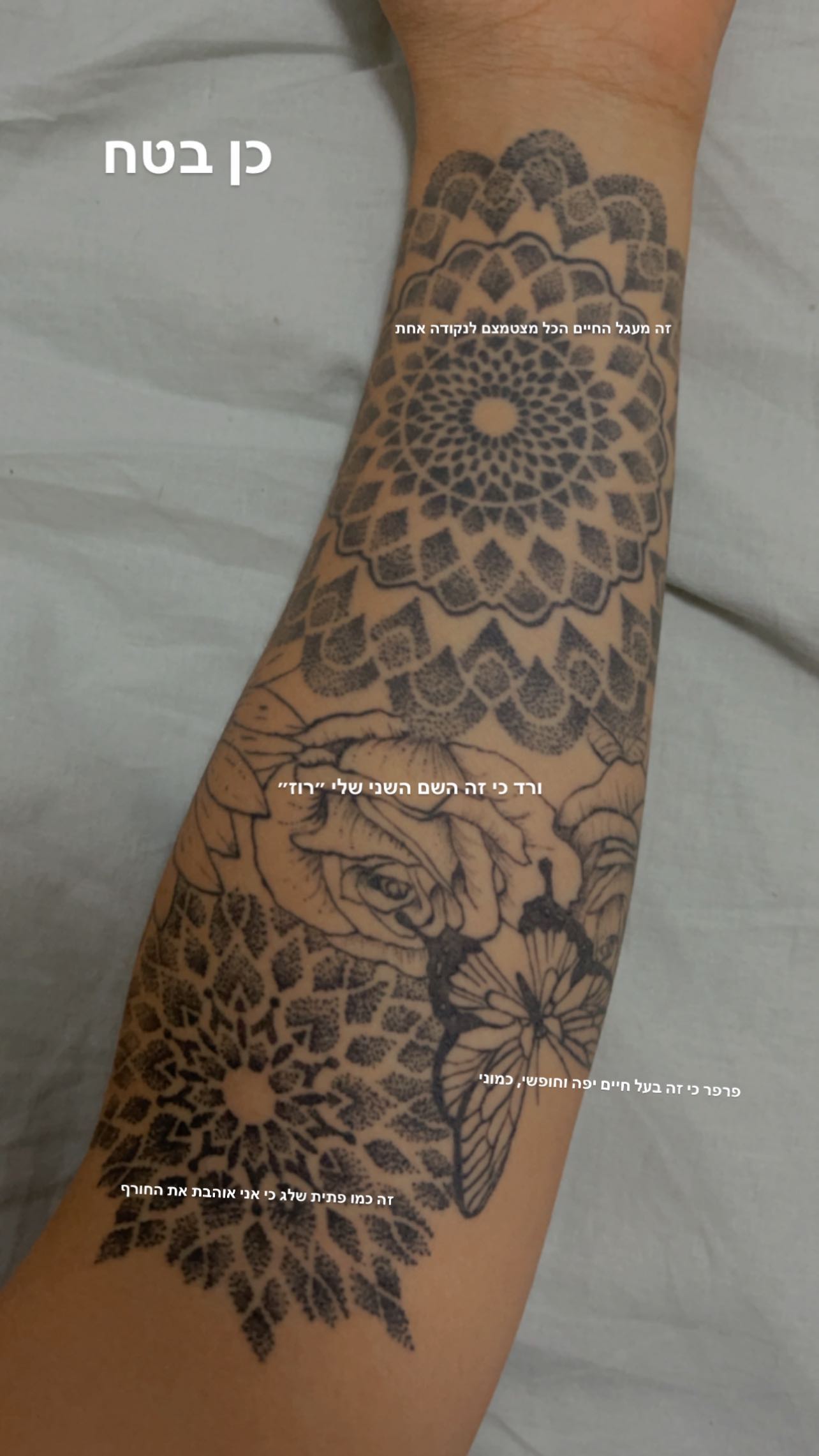 kesemgreenyer instagram image archive image