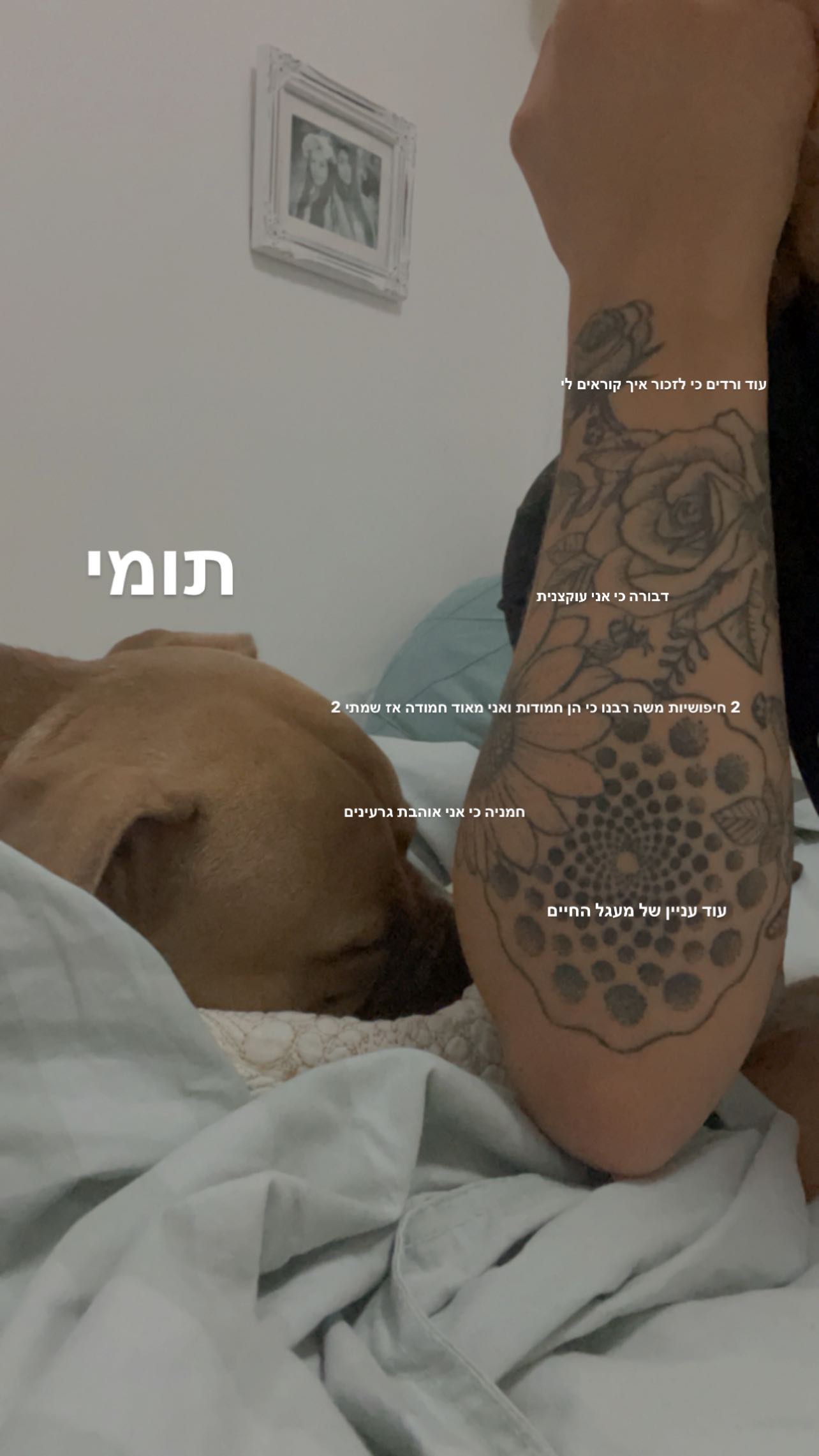 kesemgreenyer instagram image archive image