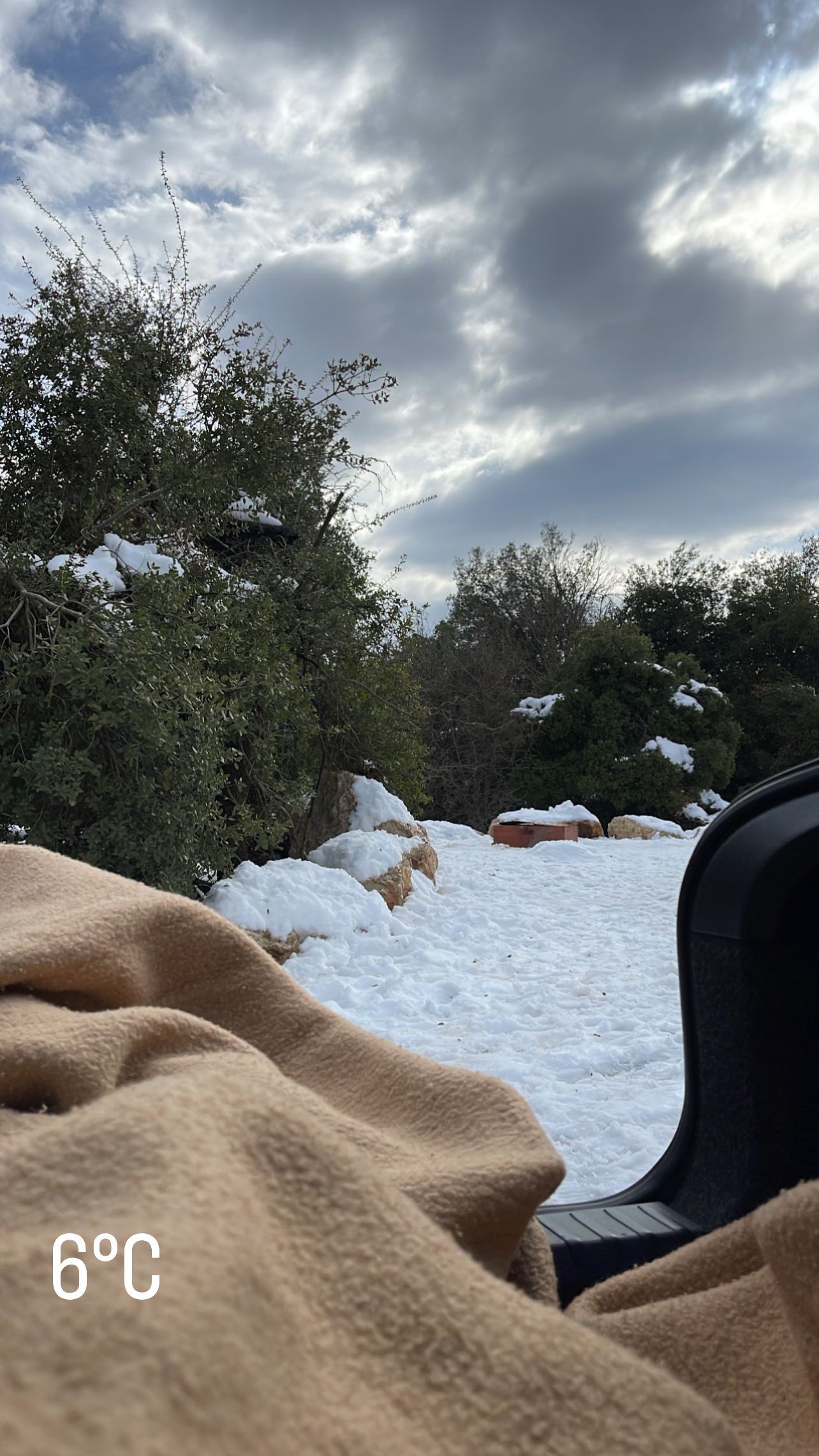 kesemgreenyer instagram image archive image