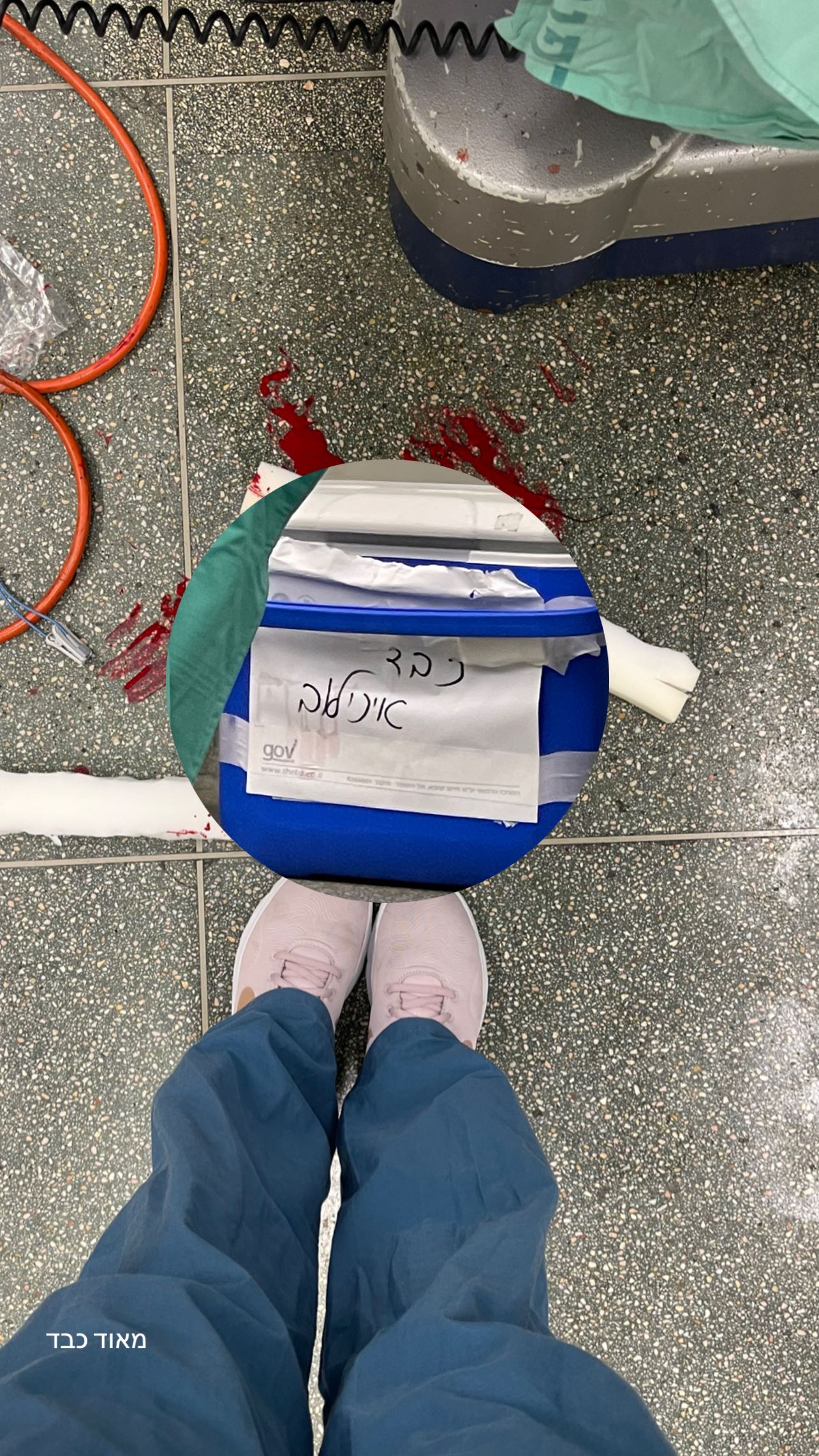 kesemgreenyer instagram image archive image