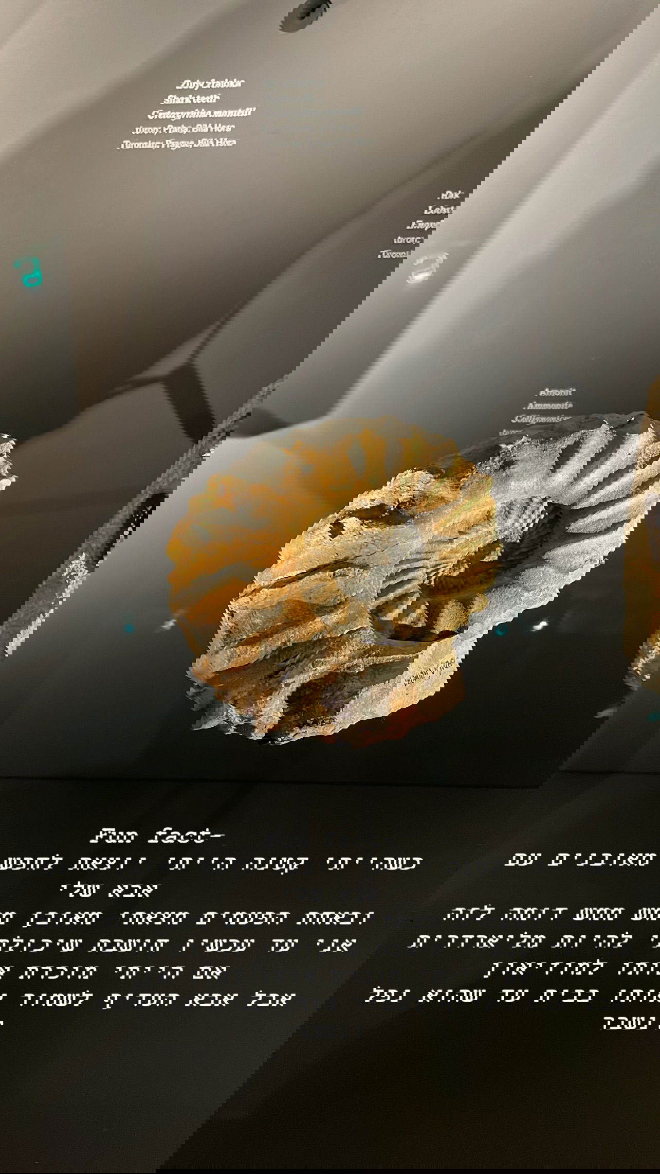 kesemgreenyer instagram image archive image