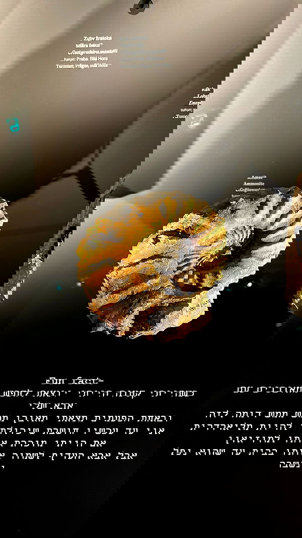 kesemgreenyer image ~ Altpins