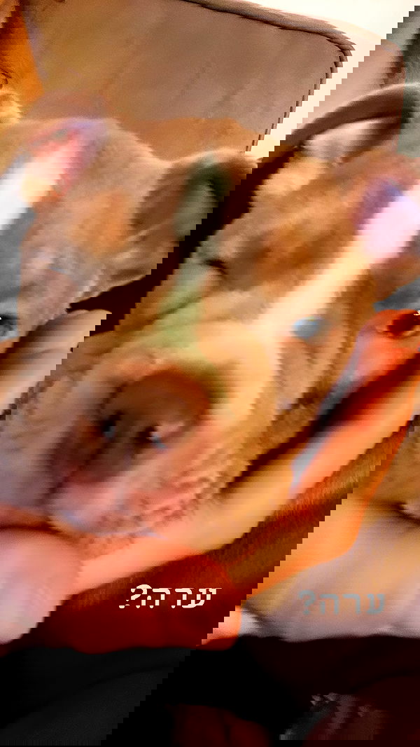 kesemgreenyer image ~ Altpins