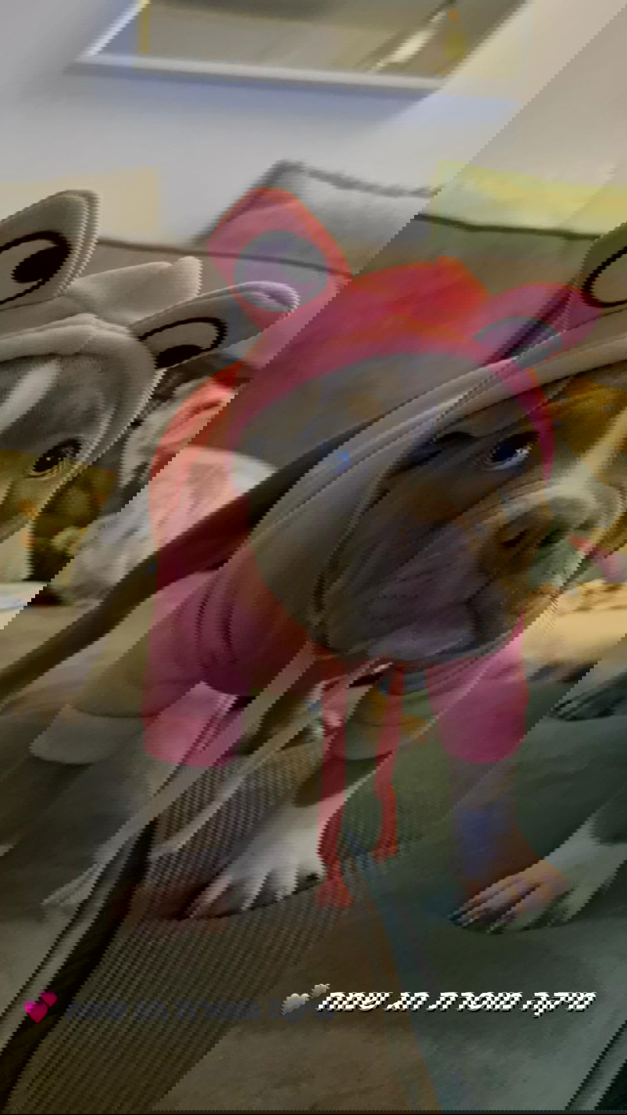 kesemgreenyer instagram image archive image