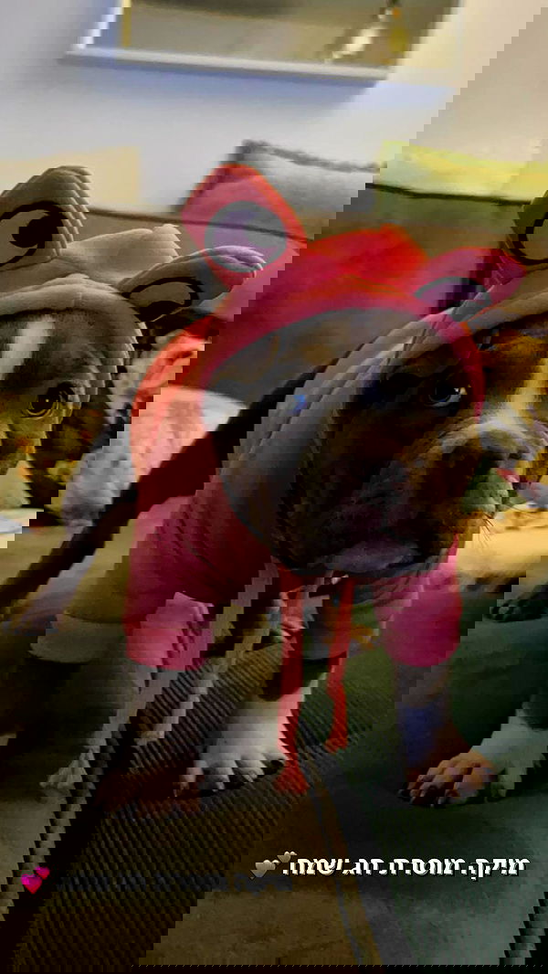 kesemgreenyer image ~ Altpins