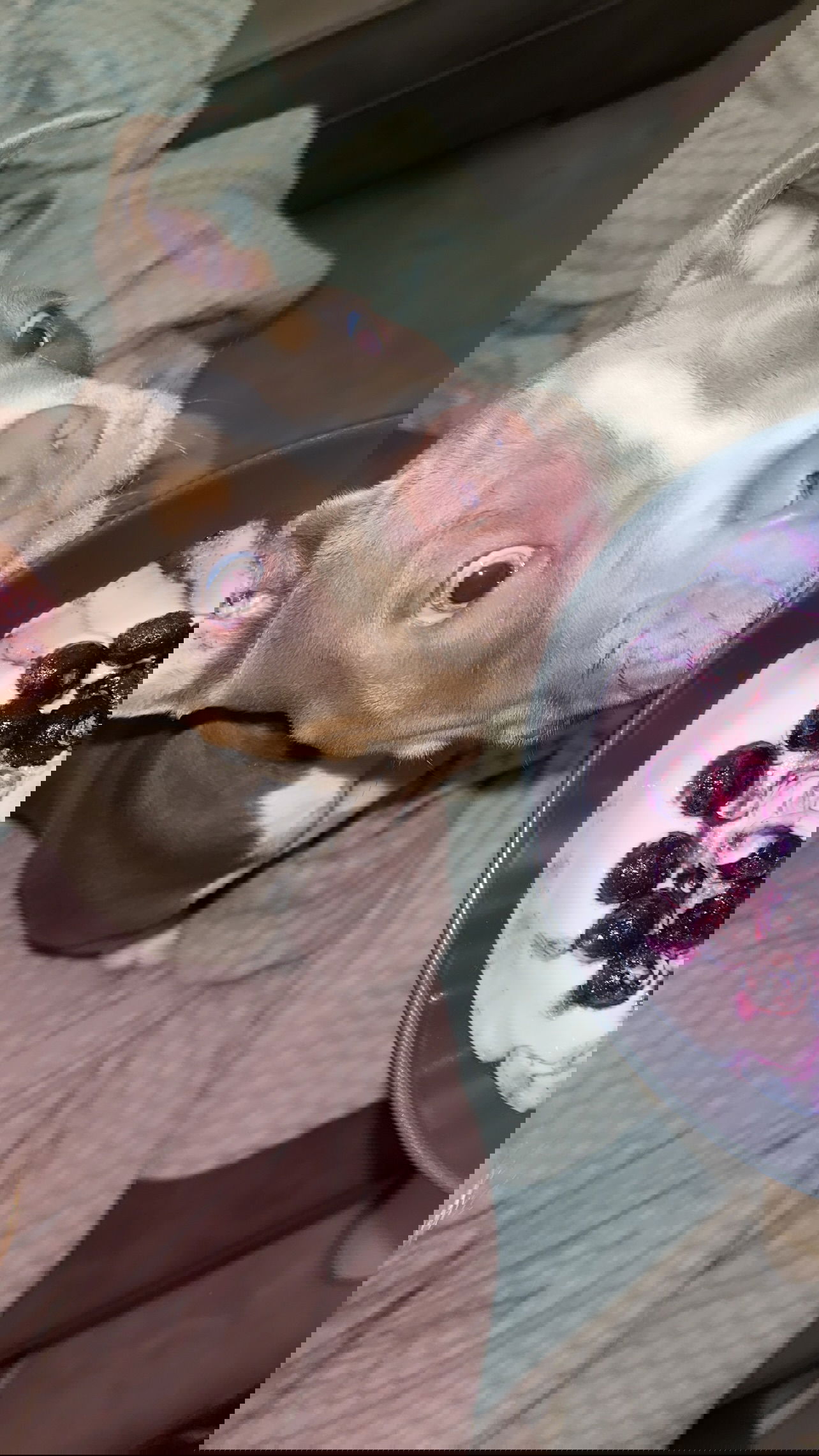 kesemgreenyer instagram image archive image