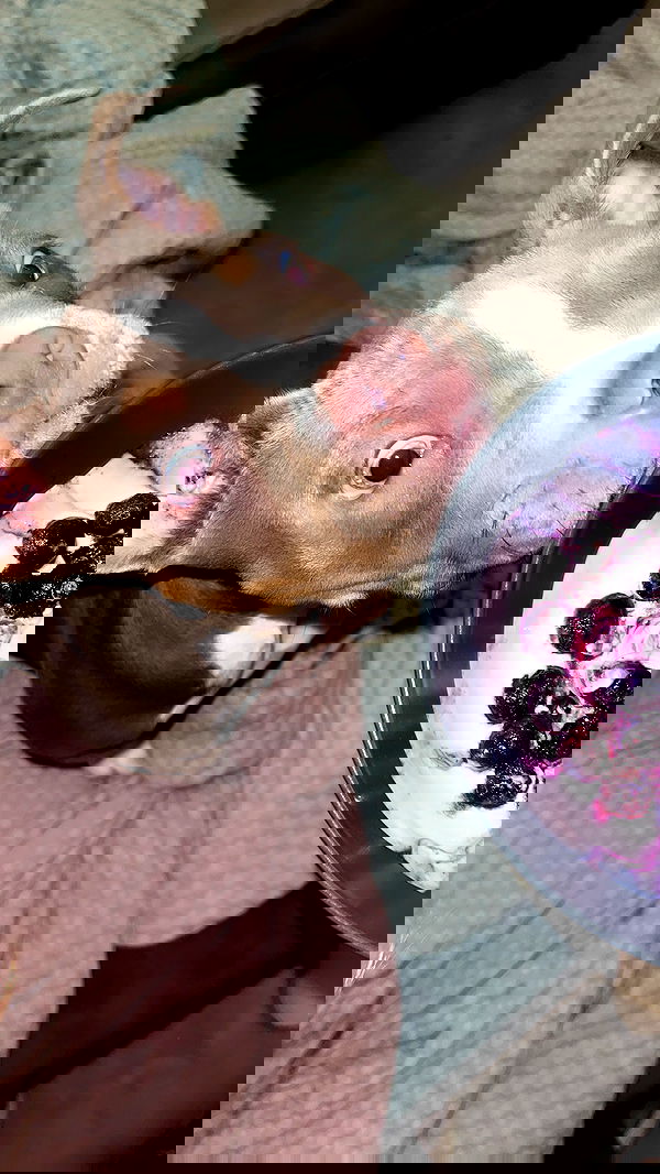 kesemgreenyer image ~ Altpins