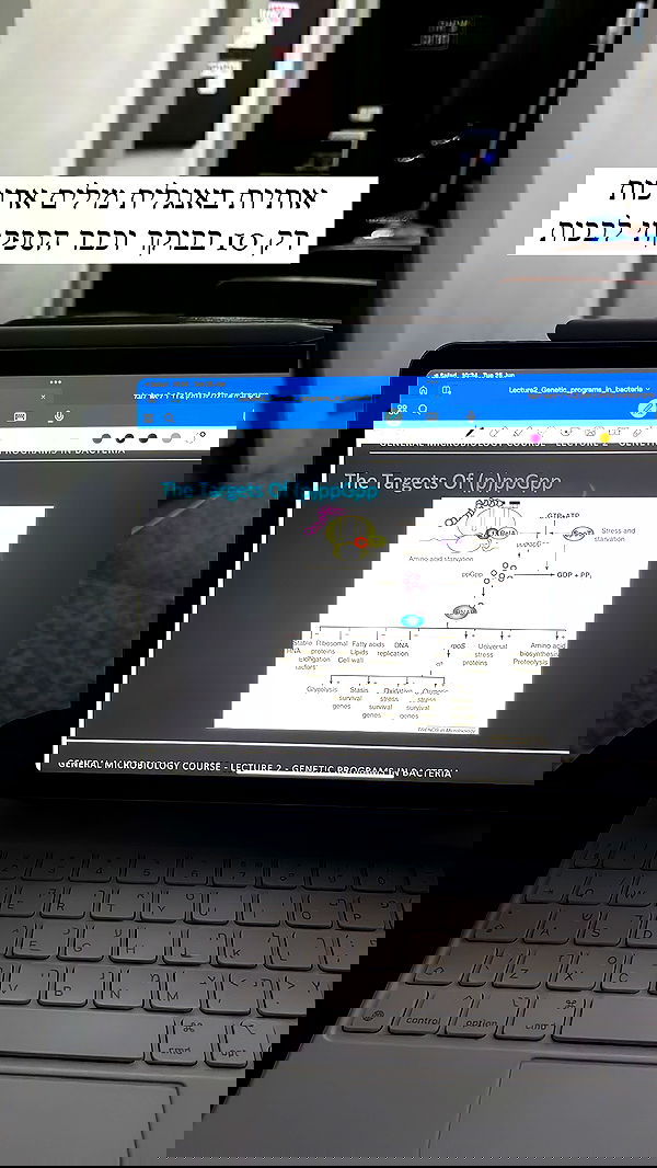 kesemgreenyer kesemgreenyer archive image