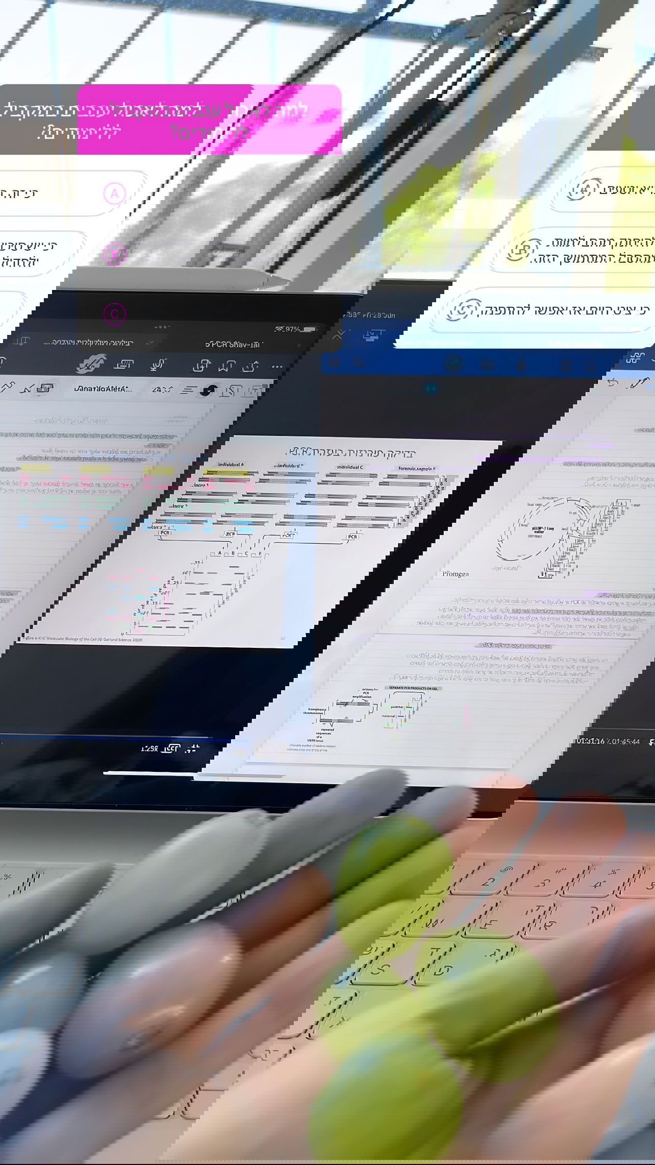 kesemgreenyer instagram image archive image