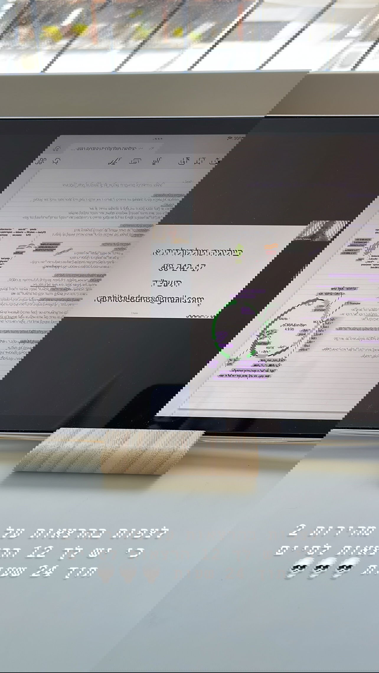 kesemgreenyer instagram image archive image