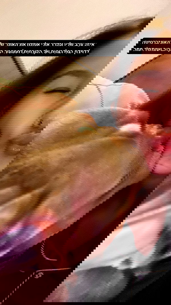 kesemgreenyer image ~ Altpins