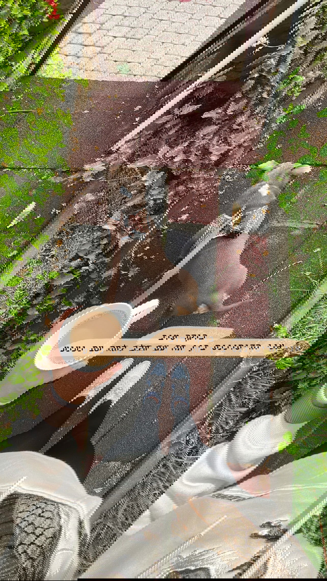 kesemgreenyer instagram image archive image