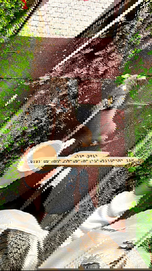 kesemgreenyer image ~ Altpins