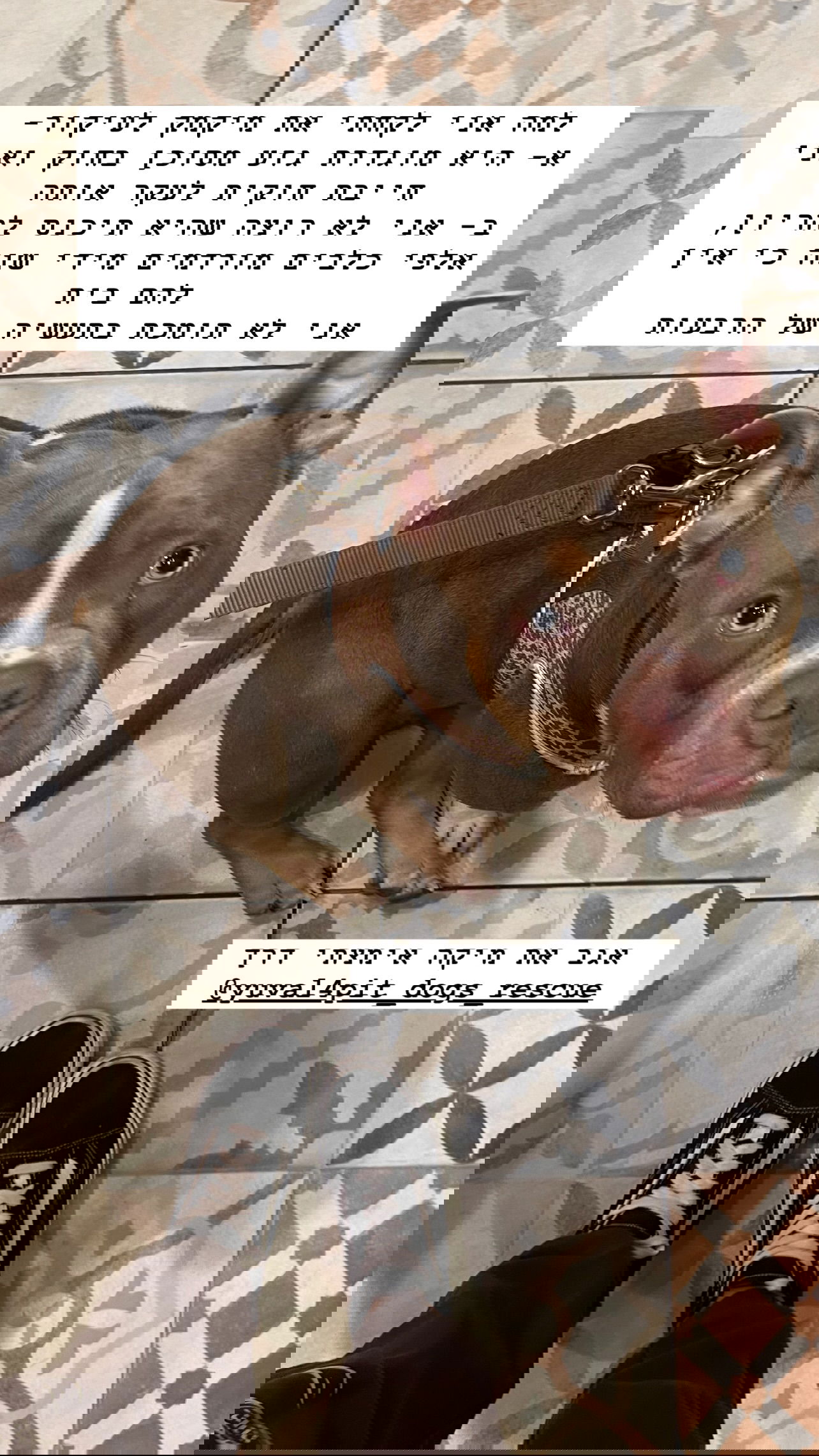 kesemgreenyer instagram image archive image