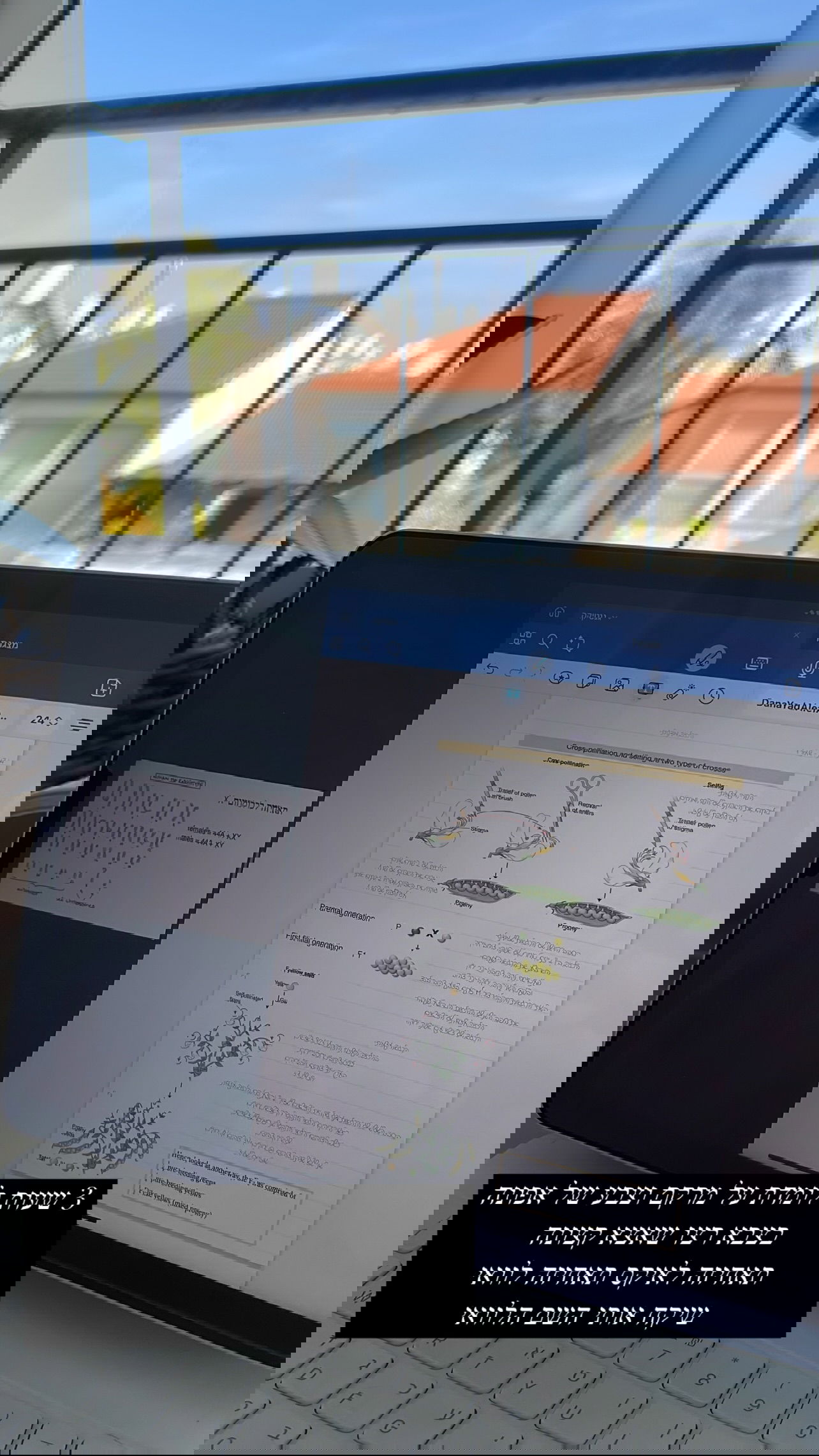 kesemgreenyer instagram image archive image