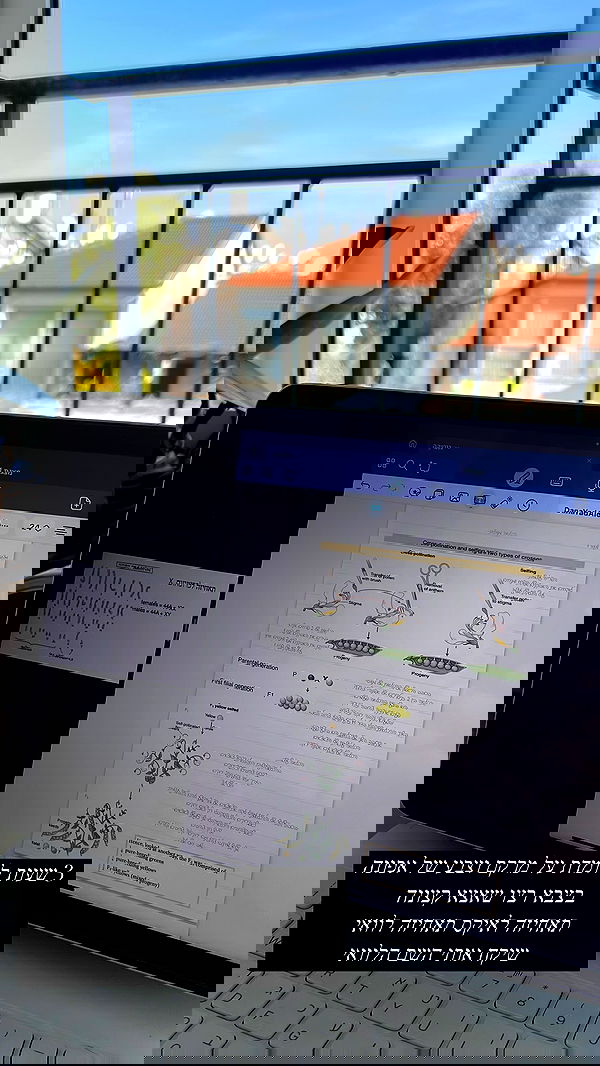 kesemgreenyer image ~ Altpins