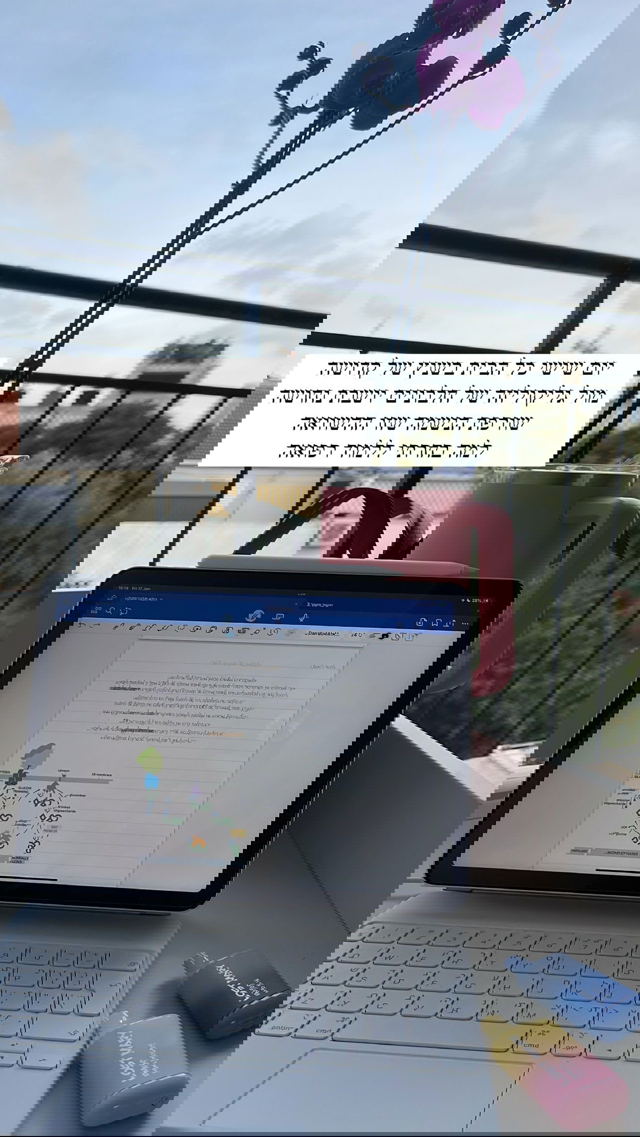 kesemgreenyer instagram image archive image