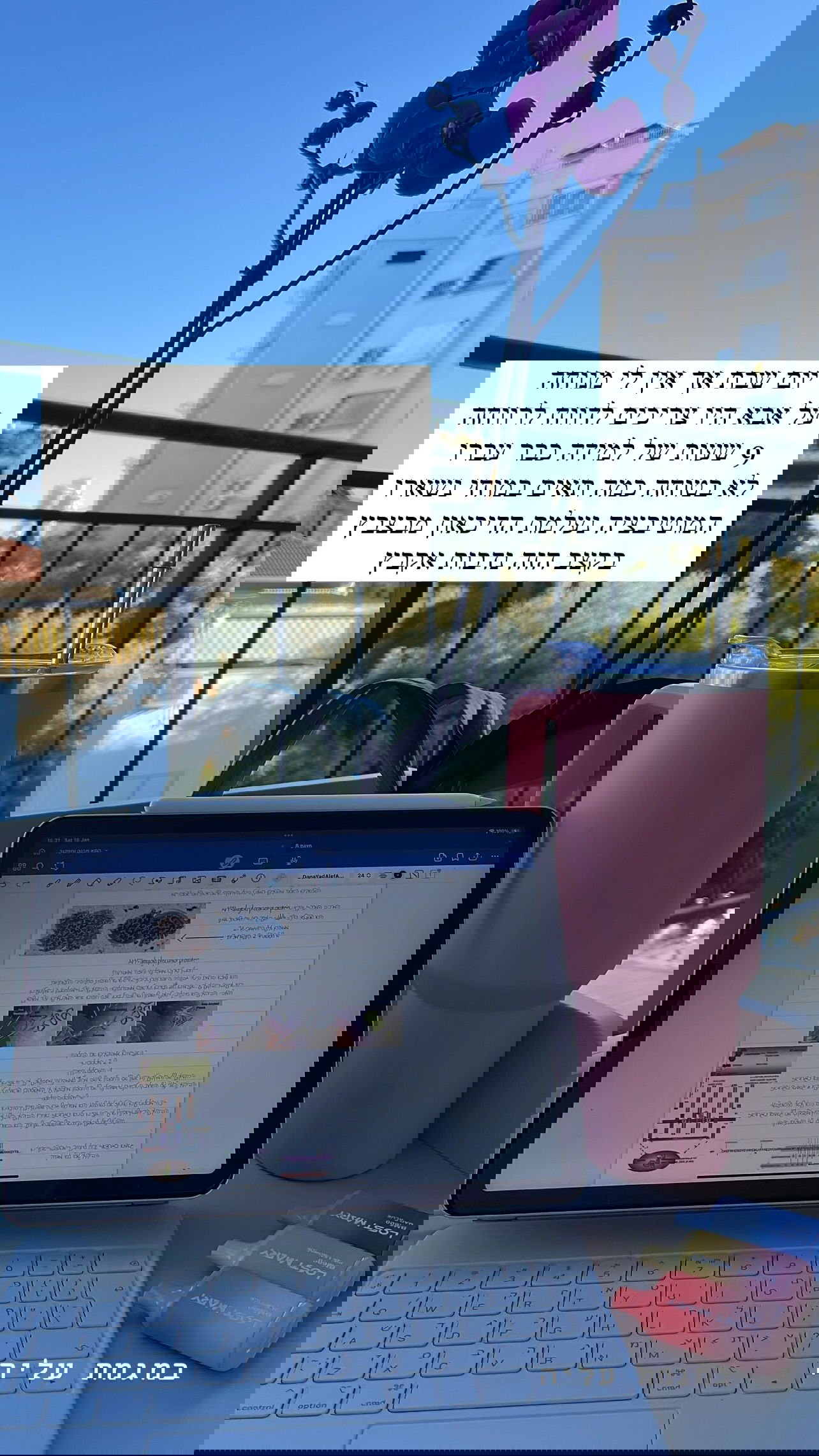 kesemgreenyer instagram image archive image