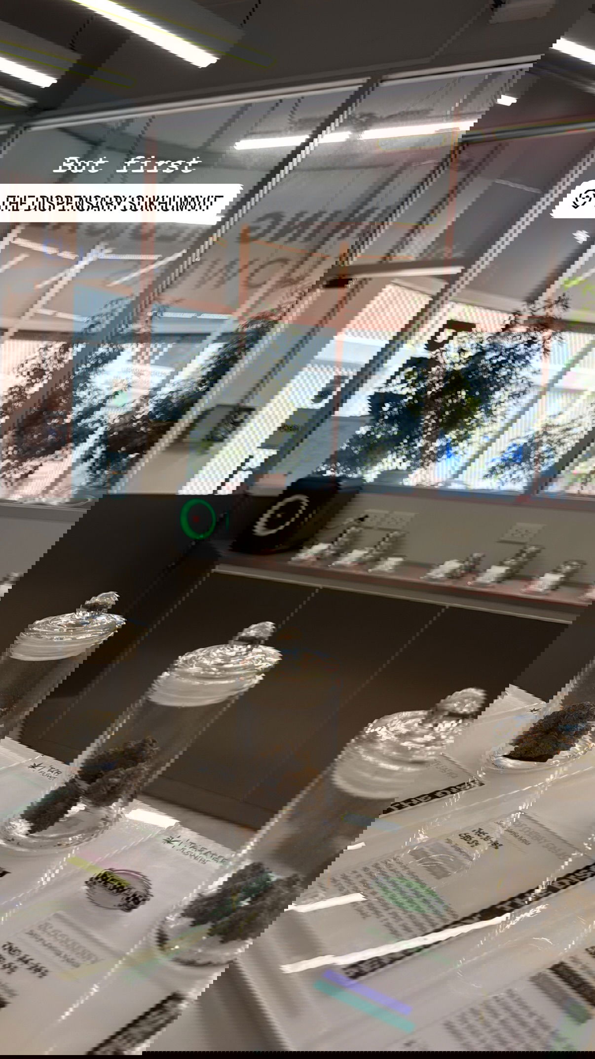 kesemgreenyer instagram image archive image