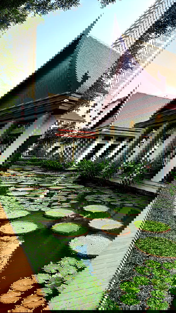 kesemgreenyer image ~ Altpins