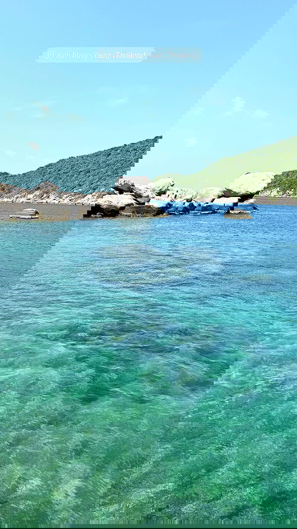 kesemgreenyer image ~ Altpins