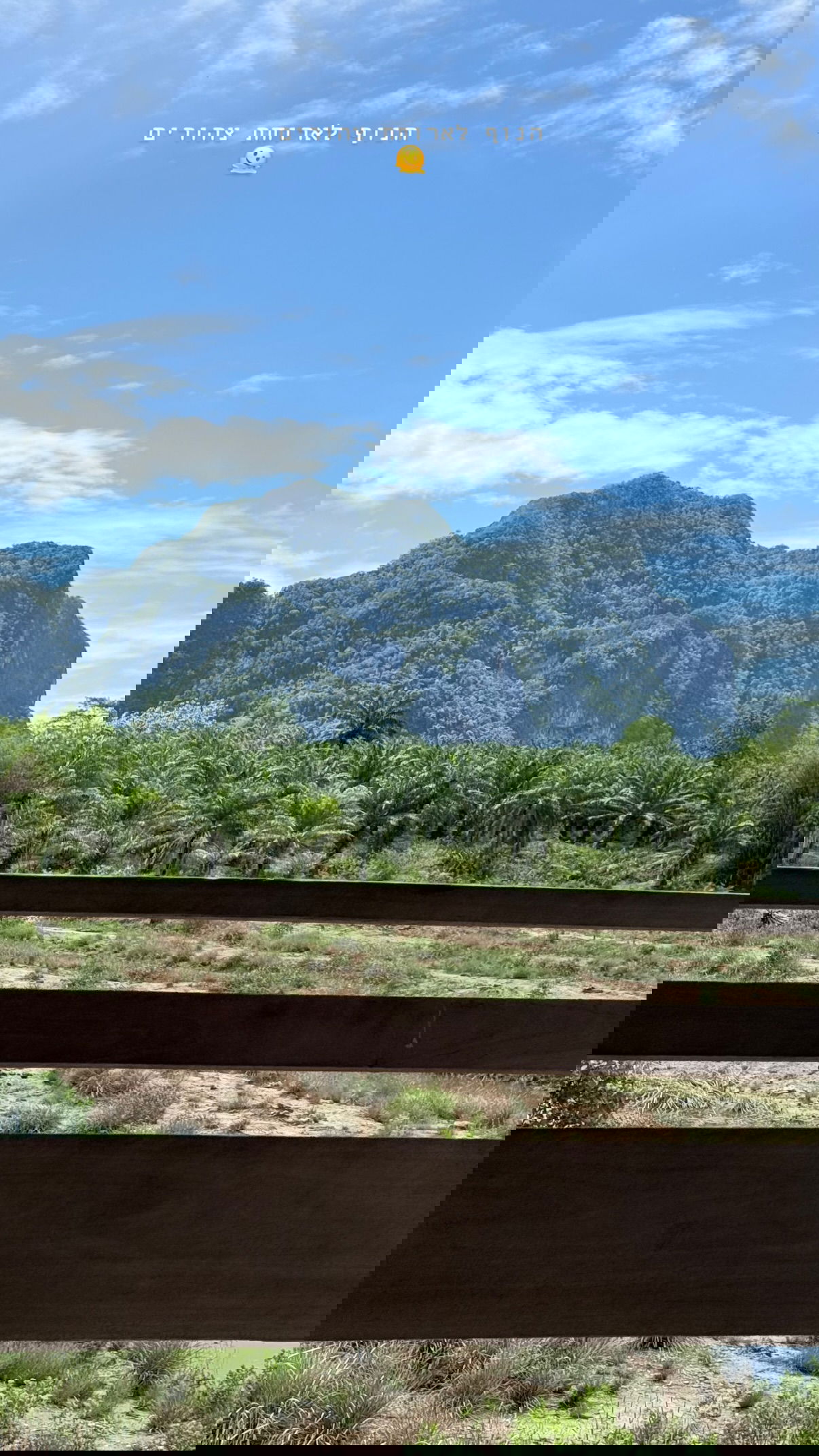 kesemgreenyer instagram image archive image