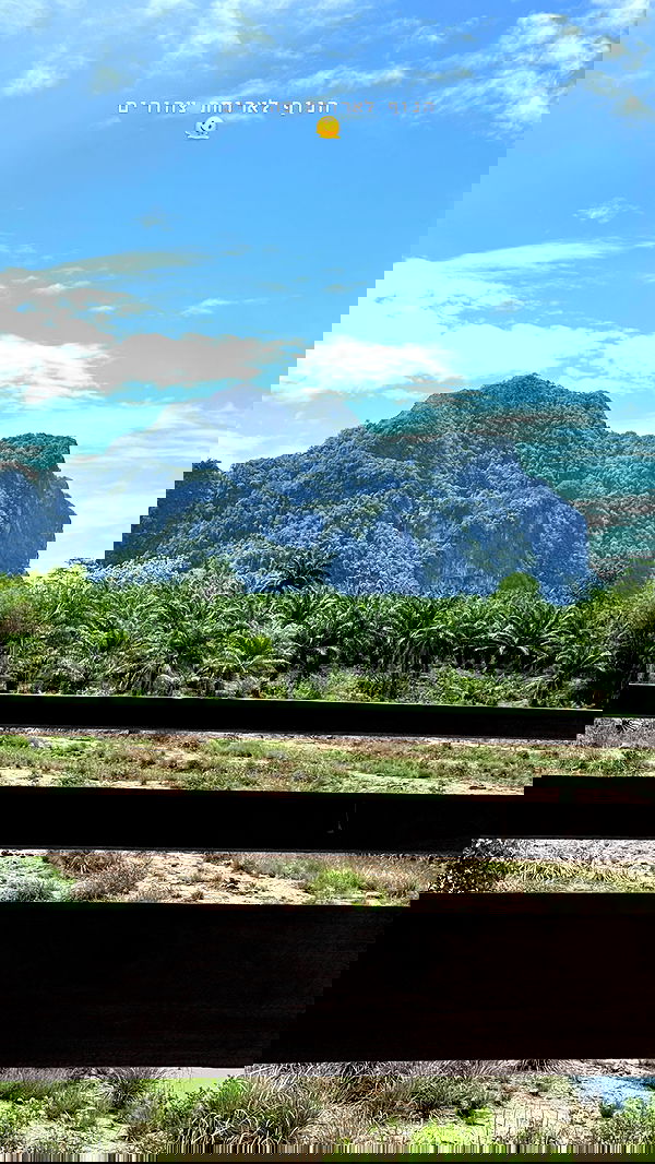 kesemgreenyer image ~ Altpins