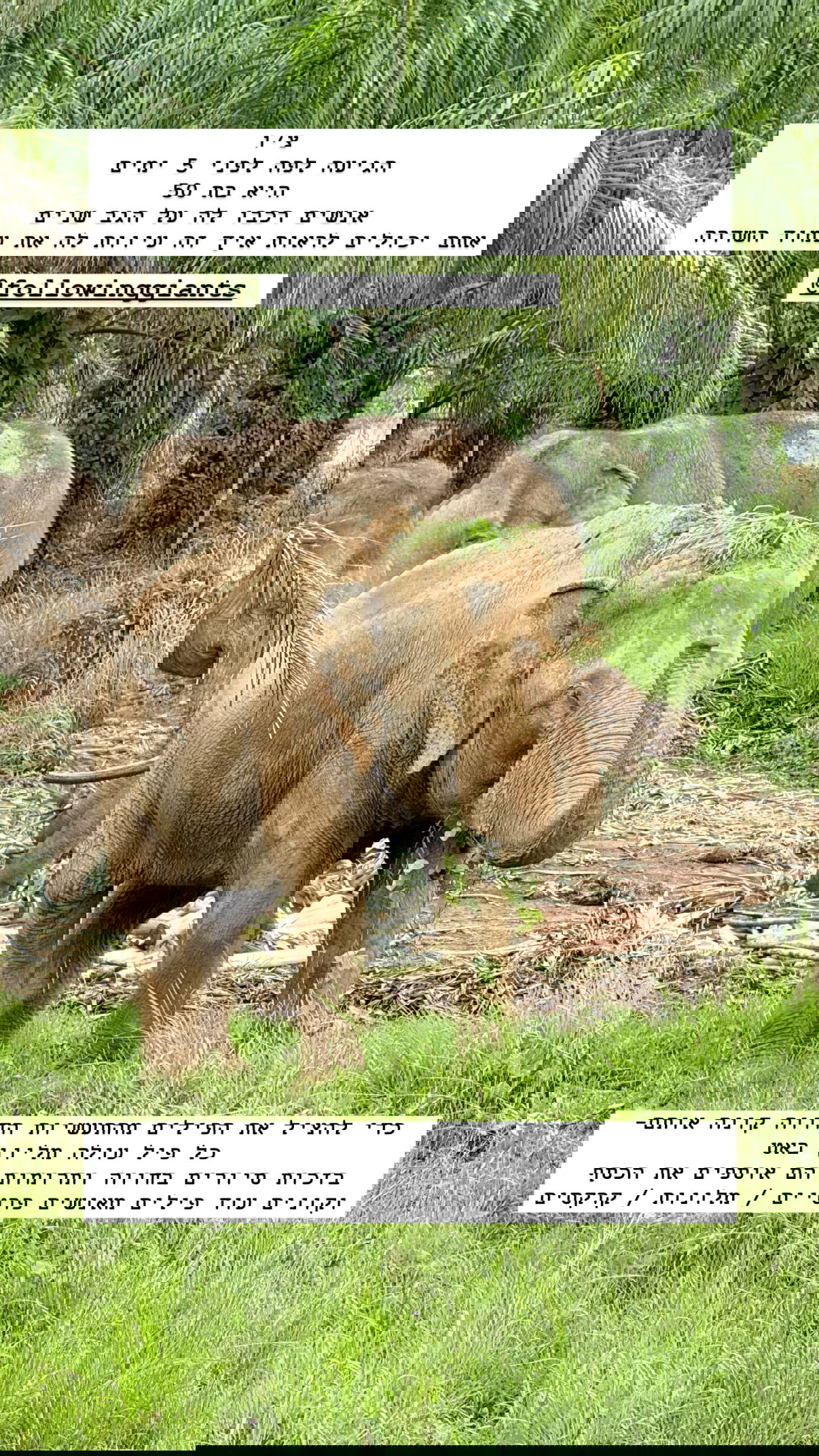 kesemgreenyer instagram image archive image