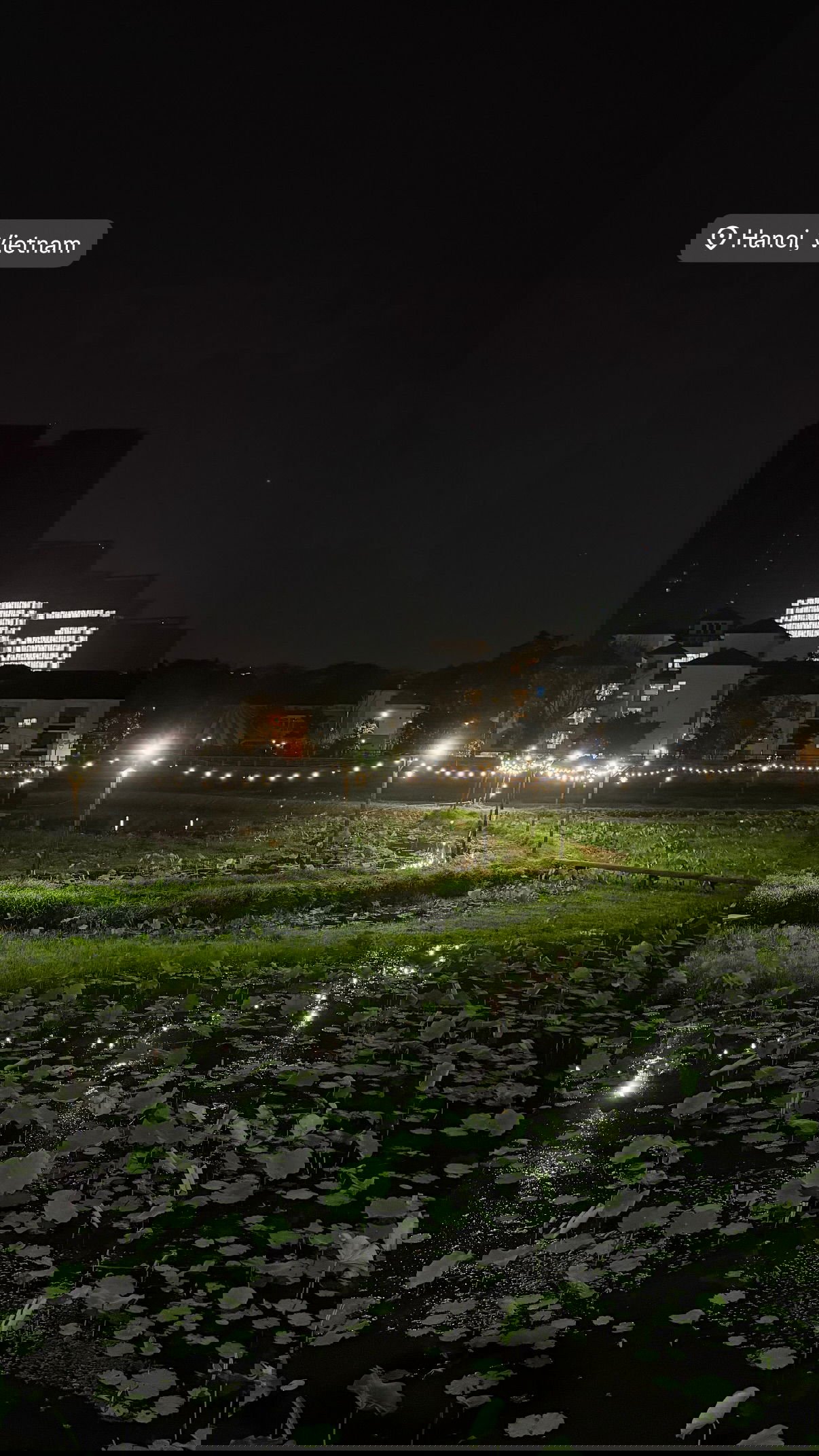 kesemgreenyer instagram image archive image