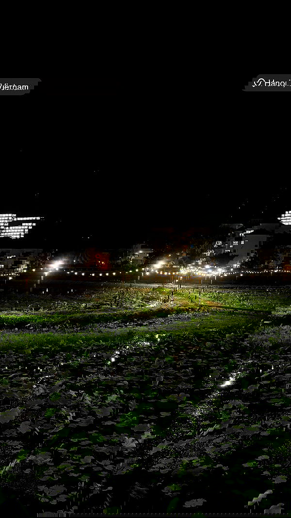 kesemgreenyer image ~ Altpins