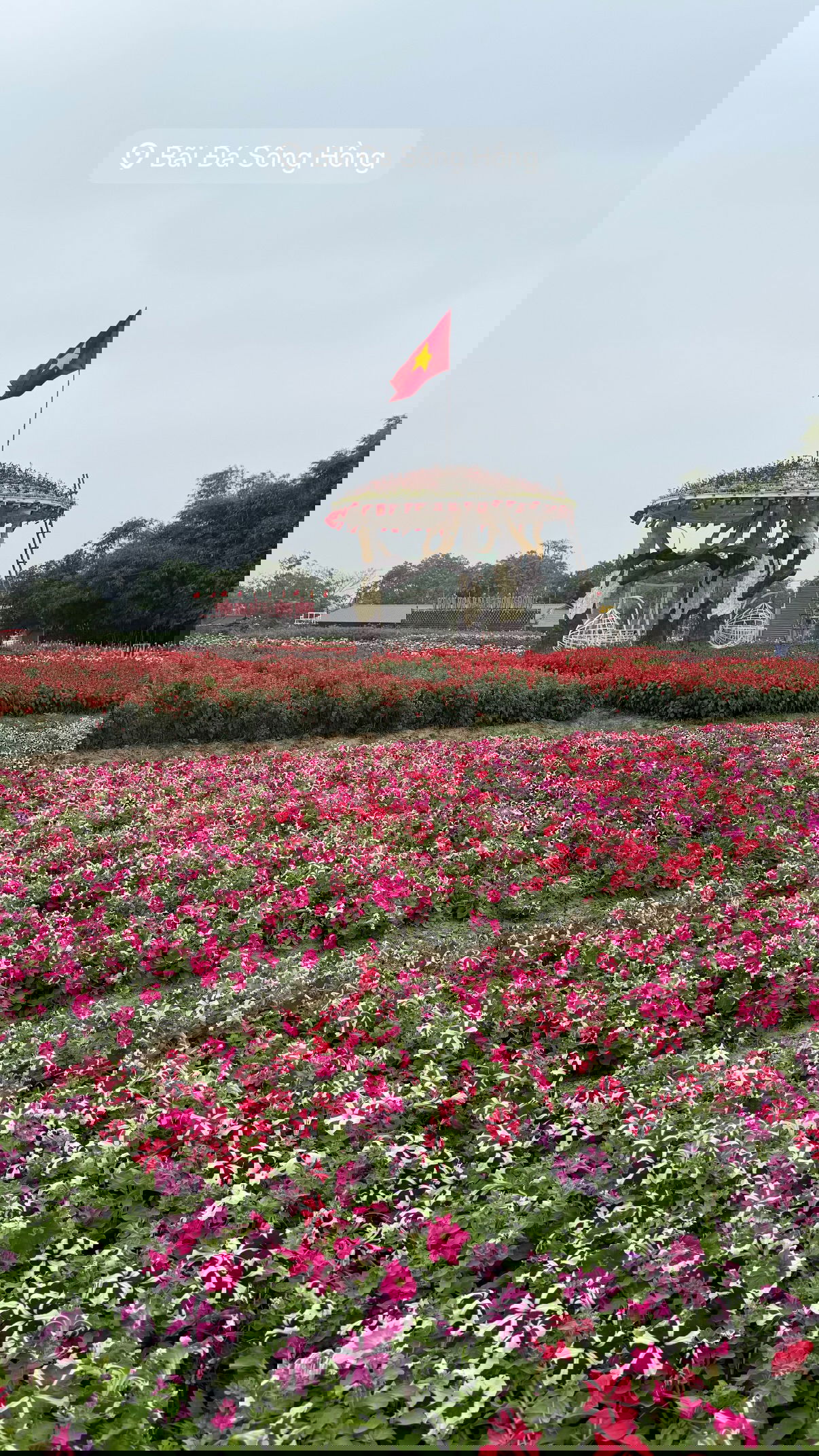 kesemgreenyer instagram image archive image