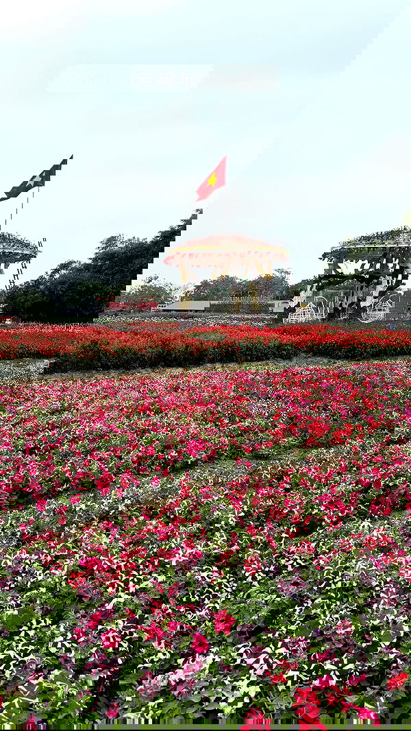 kesemgreenyer image ~ Altpins