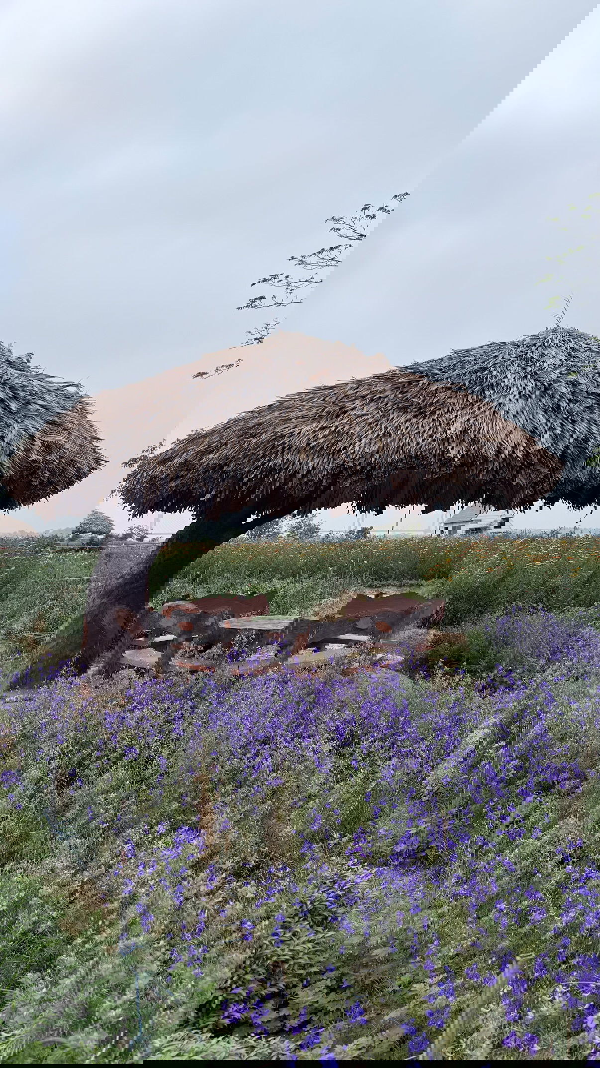 kesemgreenyer instagram image archive image