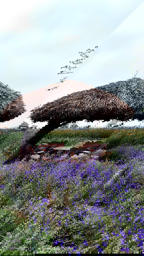 kesemgreenyer image ~ Altpins