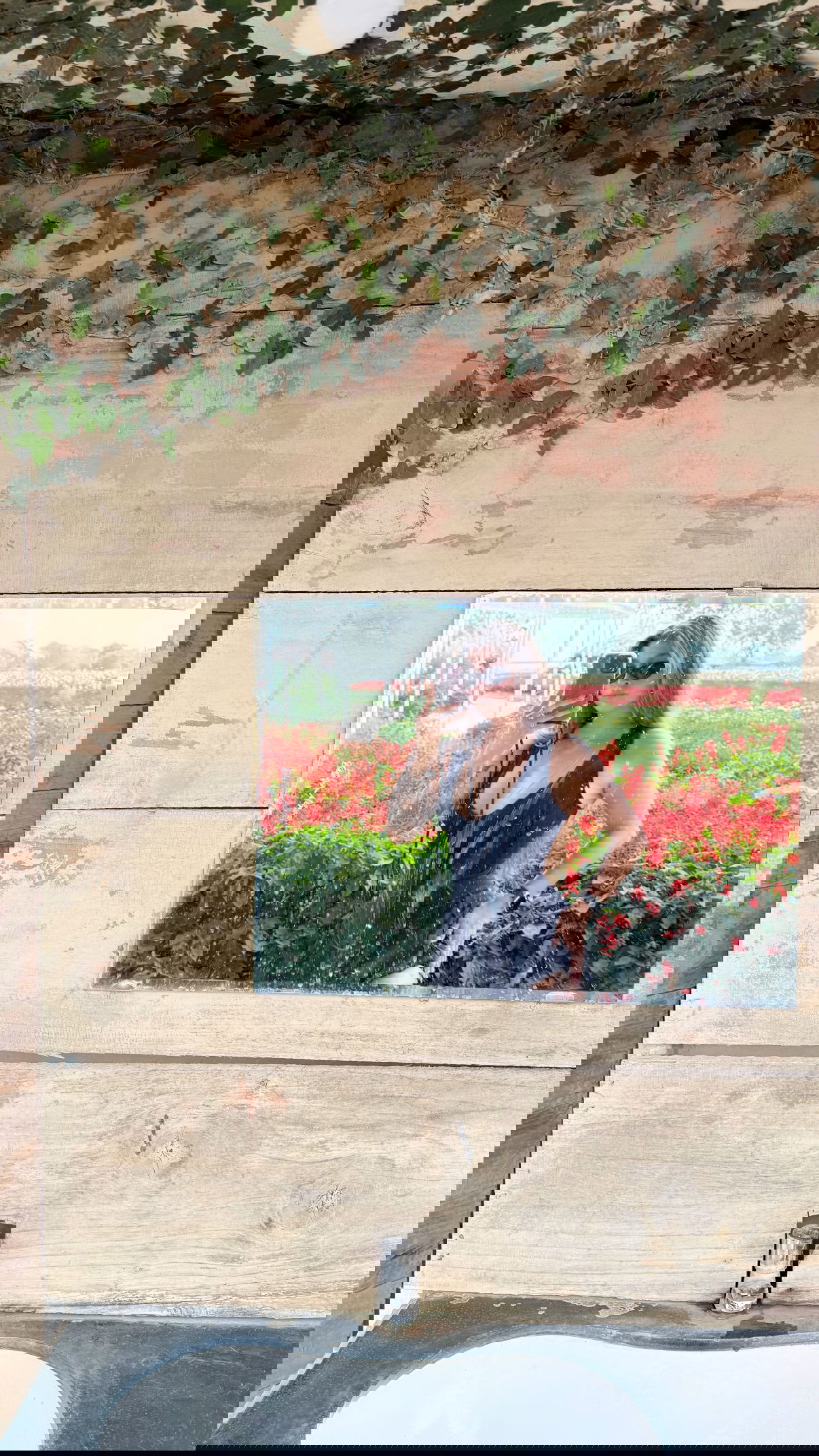 kesemgreenyer instagram image archive image