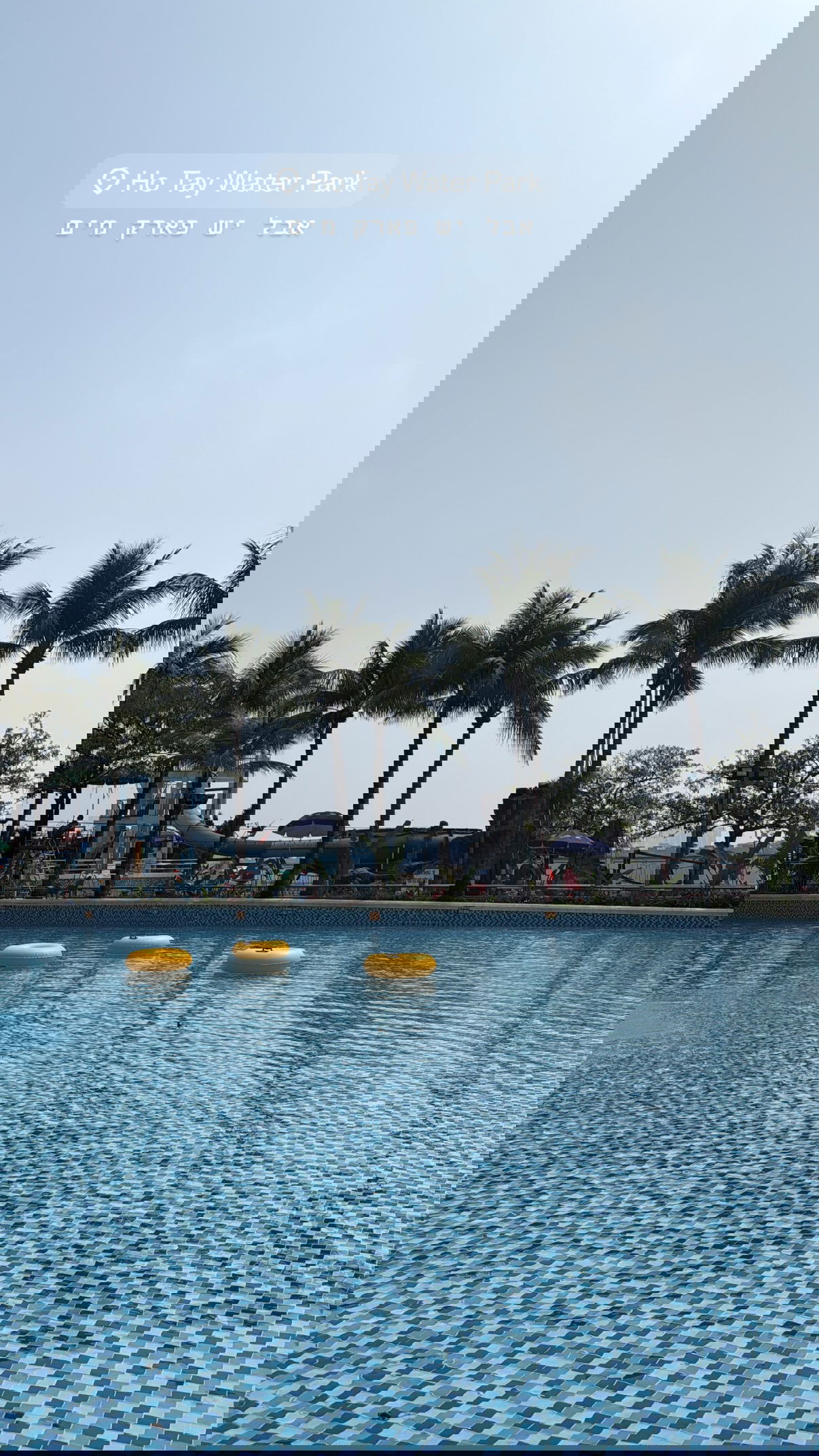 kesemgreenyer instagram image archive image