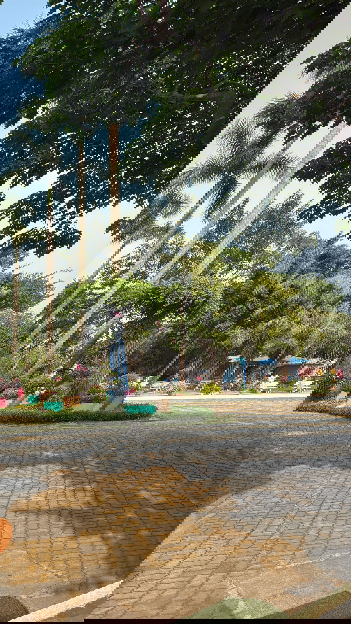 kesemgreenyer instagram image archive image