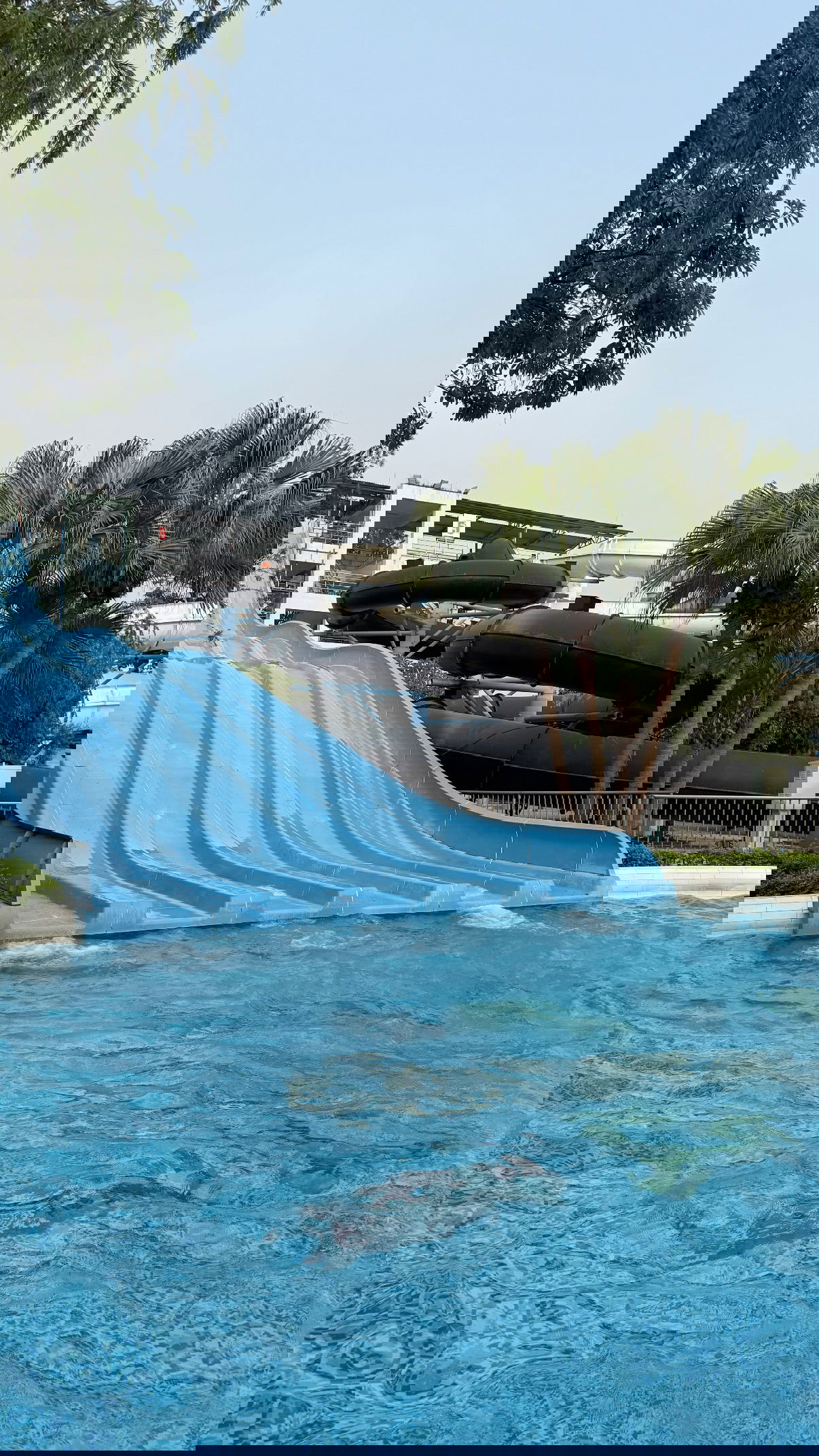 kesemgreenyer instagram image archive image