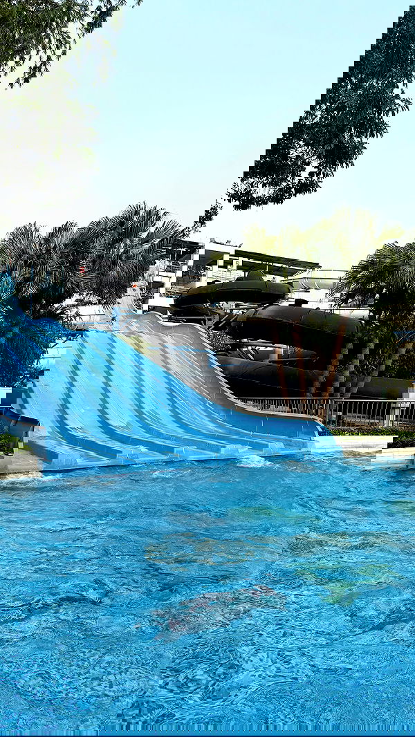 kesemgreenyer image ~ Altpins