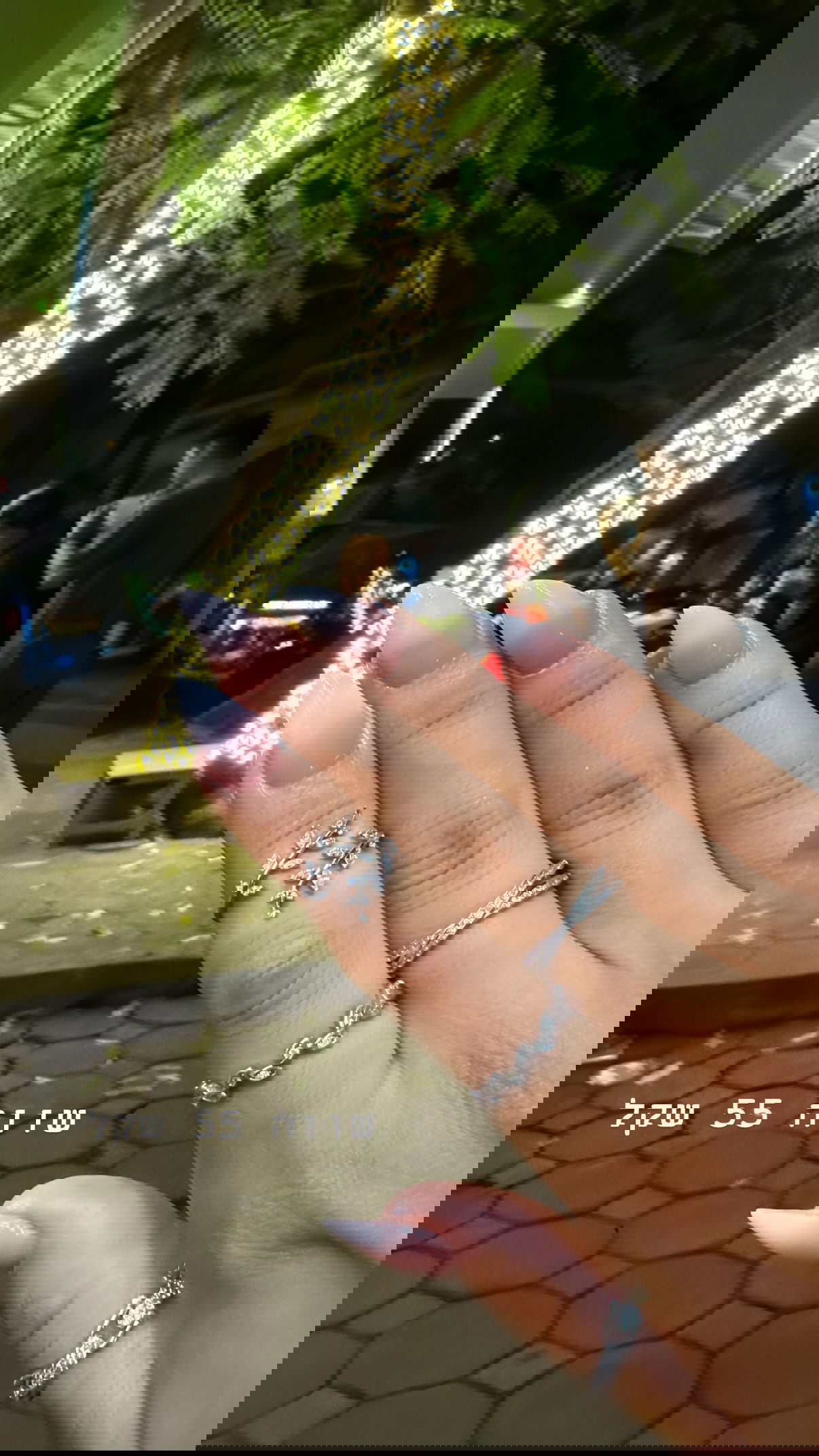 kesemgreenyer instagram image archive image