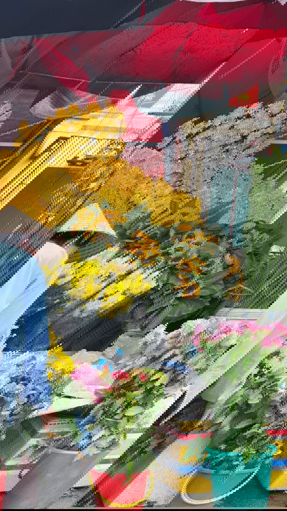 kesemgreenyer instagram image archive image