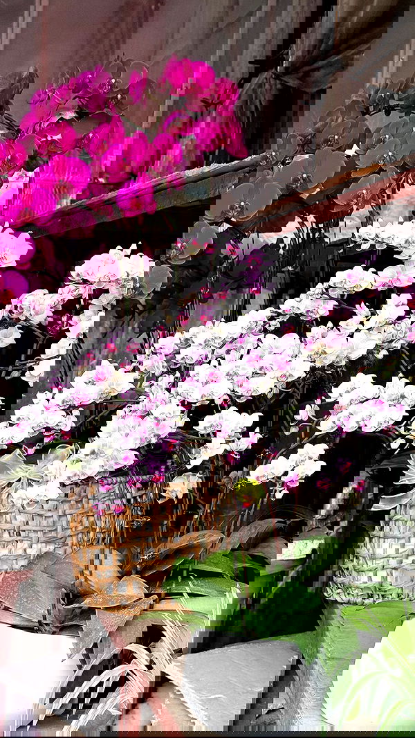 kesemgreenyer image ~ Altpins